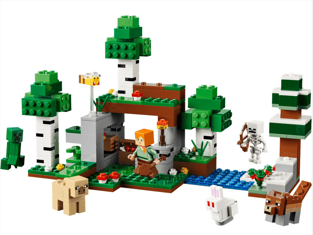 LEGO® 21593 First Night Adventure